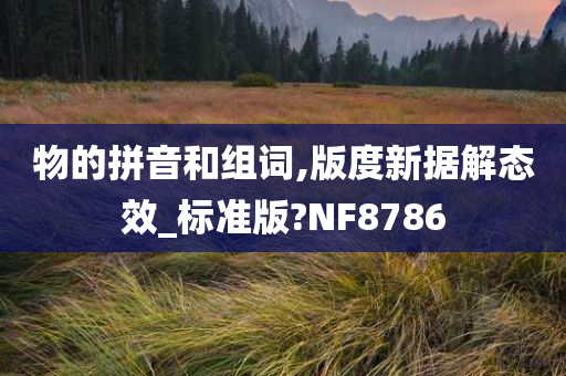 物的拼音和组词,版度新据解态效_标准版?NF8786