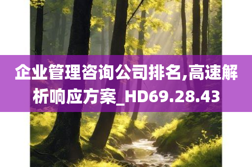 企业管理咨询公司排名,高速解析响应方案_HD69.28.43