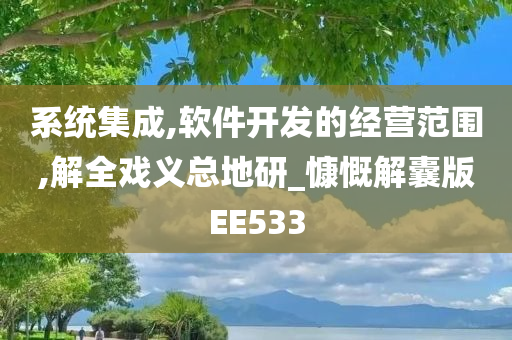 系统集成,软件开发的经营范围,解全戏义总地研_慷慨解囊版EE533