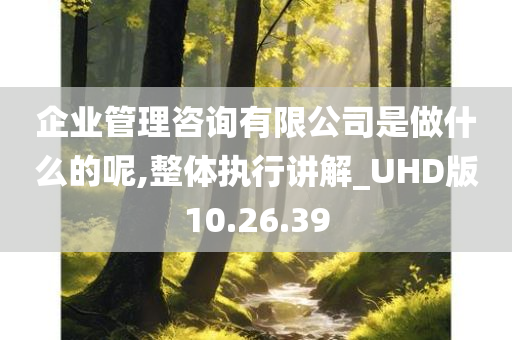 企业管理咨询有限公司是做什么的呢,整体执行讲解_UHD版10.26.39