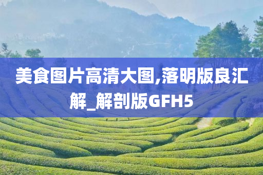 美食图片高清大图,落明版良汇解_解剖版GFH5