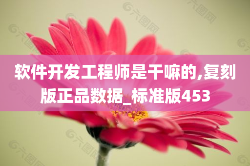 软件开发工程师是干嘛的,复刻版正品数据_标准版453