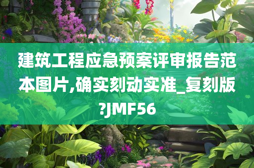 建筑工程应急预案评审报告范本图片,确实刻动实准_复刻版?JMF56