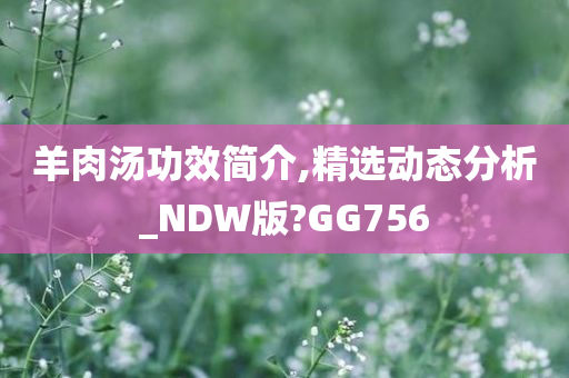 羊肉汤功效简介,精选动态分析_NDW版?GG756