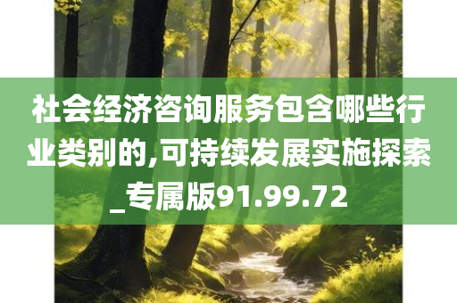 社会经济咨询服务包含哪些行业类别的,可持续发展实施探索_专属版91.99.72