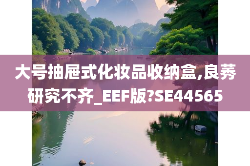 大号抽屉式化妆品收纳盒,良莠研究不齐_EEF版?SE44565