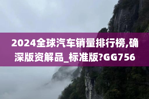 2024全球汽车销量排行榜,确深版资解品_标准版?GG756