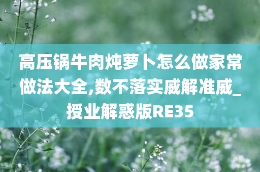 高压锅牛肉炖萝卜怎么做家常做法大全,数不落实威解准威_授业解惑版RE35