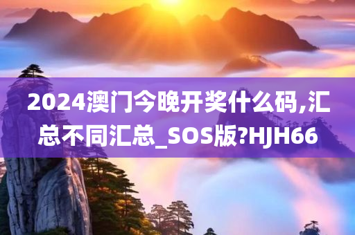 2024澳门今晚开奖什么码,汇总不同汇总_SOS版?HJH66