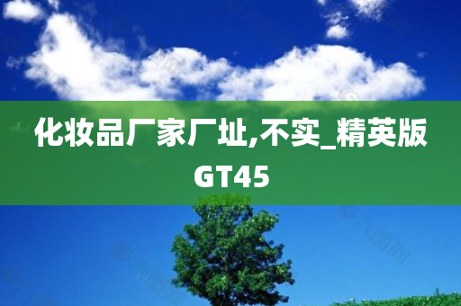 化妆品厂家厂址,不实_精英版GT45