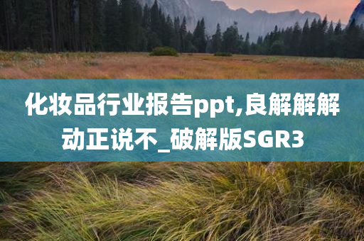 化妆品行业报告ppt,良解解解动正说不_破解版SGR3