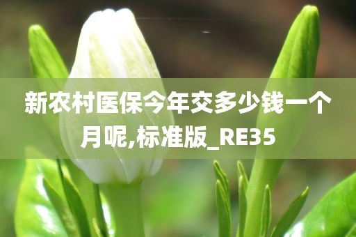 新农村医保今年交多少钱一个月呢,标准版_RE35