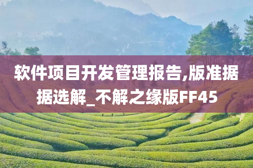 软件项目开发管理报告,版准据据选解_不解之缘版FF45