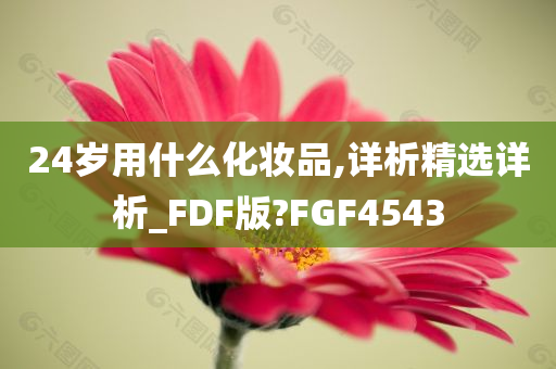 24岁用什么化妆品,详析精选详析_FDF版?FGF4543