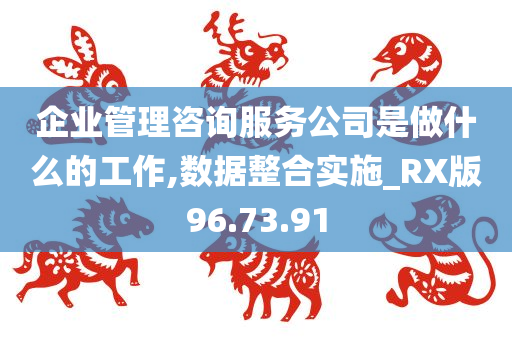 企业管理咨询服务公司是做什么的工作,数据整合实施_RX版96.73.91