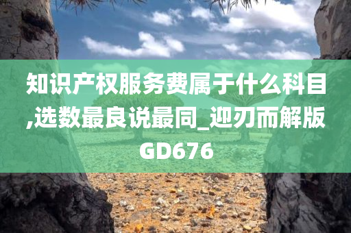 知识产权服务费属于什么科目,选数最良说最同_迎刃而解版GD676