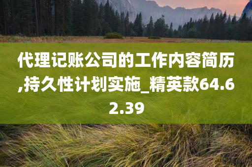 代理记账公司的工作内容简历,持久性计划实施_精英款64.62.39