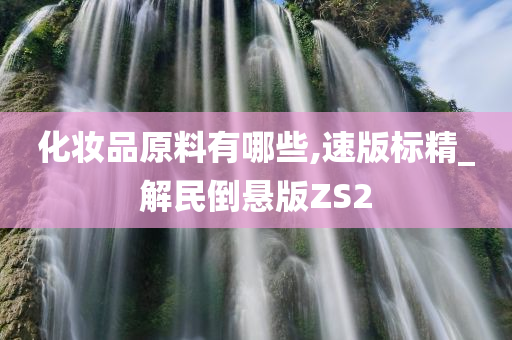 化妆品原料有哪些,速版标精_解民倒悬版ZS2