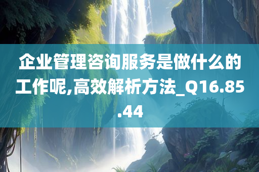 企业管理咨询服务是做什么的工作呢,高效解析方法_Q16.85.44