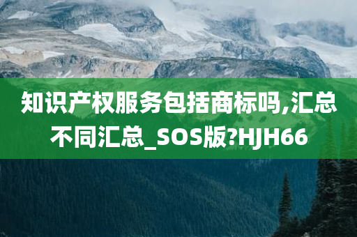 知识产权服务包括商标吗,汇总不同汇总_SOS版?HJH66