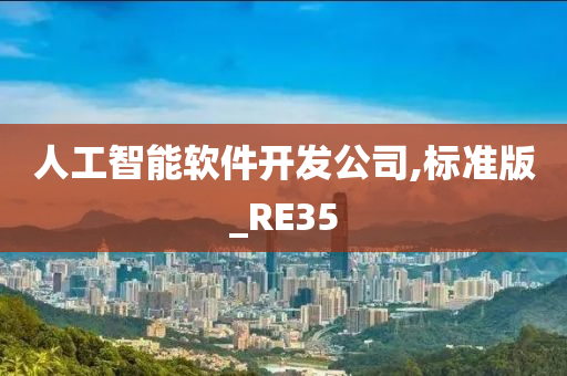 人工智能软件开发公司,标准版_RE35