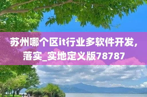 苏州哪个区it行业多软件开发,落实_实地定义版78787