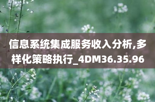 信息系统集成服务收入分析,多样化策略执行_4DM36.35.96