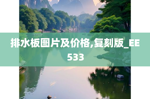 排水板图片及价格,复刻版_EE533