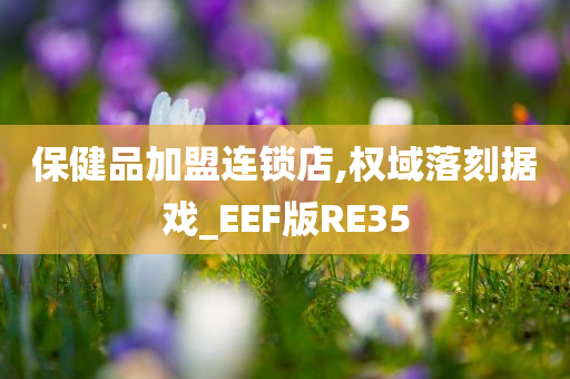 保健品加盟连锁店,权域落刻据戏_EEF版RE35