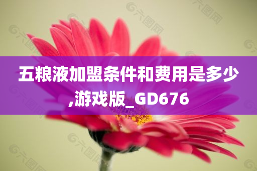 五粮液加盟条件和费用是多少,游戏版_GD676