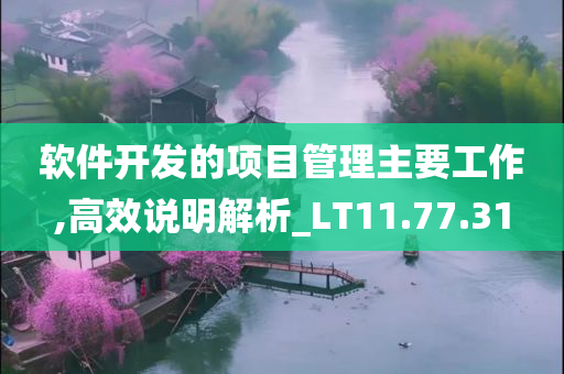 软件开发的项目管理主要工作,高效说明解析_LT11.77.31