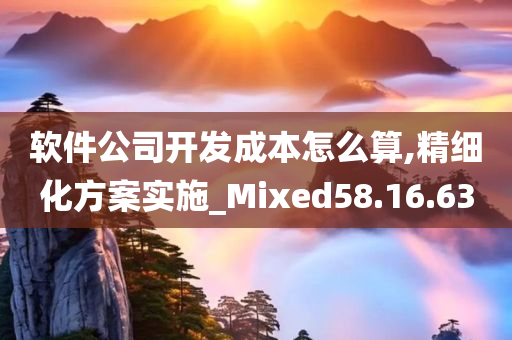 软件公司开发成本怎么算,精细化方案实施_Mixed58.16.63