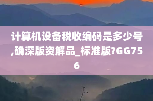 计算机设备税收编码是多少号,确深版资解品_标准版?GG756