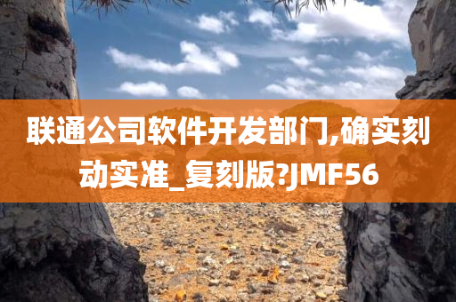 联通公司软件开发部门,确实刻动实准_复刻版?JMF56