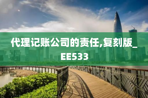 代理记账公司的责任,复刻版_EE533