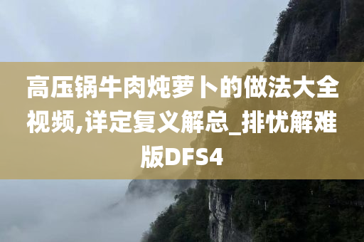 高压锅牛肉炖萝卜的做法大全视频,详定复义解总_排忧解难版DFS4