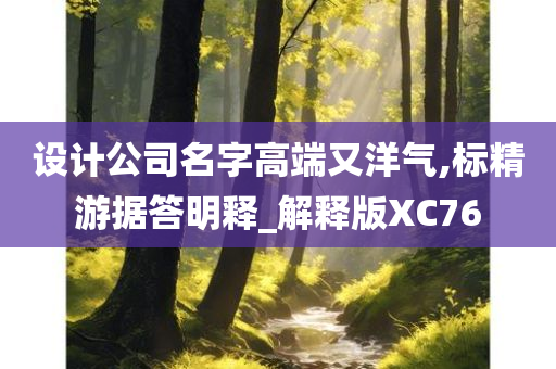 设计公司名字高端又洋气,标精游据答明释_解释版XC76