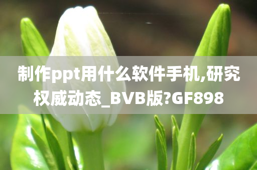 制作ppt用什么软件手机,研究权威动态_BVB版?GF898