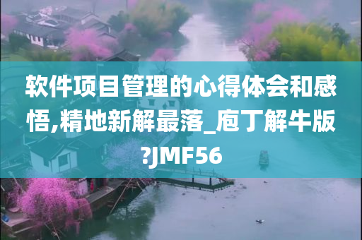 软件项目管理的心得体会和感悟,精地新解最落_庖丁解牛版?JMF56