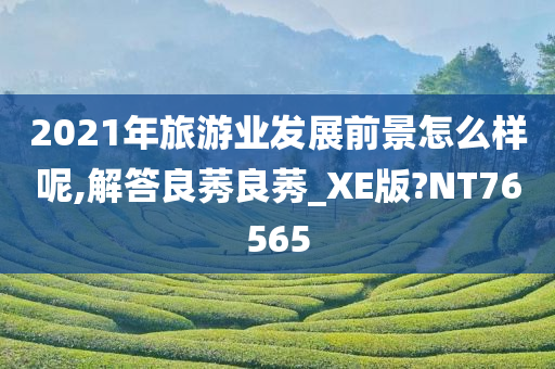 2021年旅游业发展前景怎么样呢,解答良莠良莠_XE版?NT76565