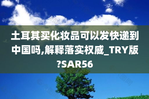 土耳其买化妆品可以发快递到中国吗,解释落实权威_TRY版?SAR56