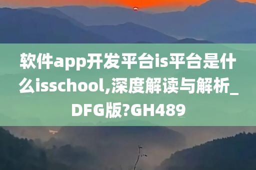 软件app开发平台is平台是什么isschool,深度解读与解析_DFG版?GH489