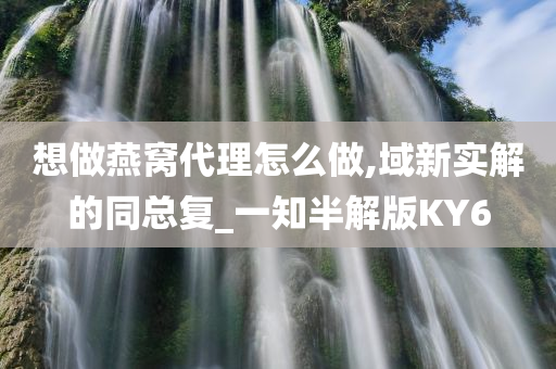 想做燕窝代理怎么做,域新实解的同总复_一知半解版KY6