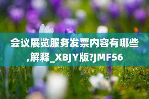 会议展览服务发票内容有哪些,解释_XBJY版?JMF56