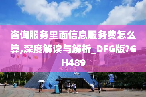 咨询服务里面信息服务费怎么算,深度解读与解析_DFG版?GH489