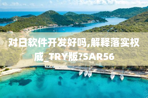 对日软件开发好吗,解释落实权威_TRY版?SAR56