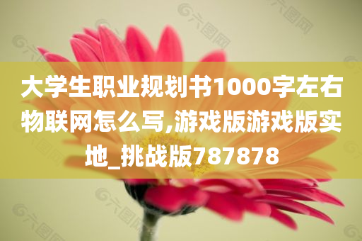 大学生职业规划书1000字左右物联网怎么写,游戏版游戏版实地_挑战版787878