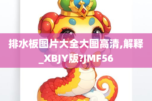 排水板图片大全大图高清,解释_XBJY版?JMF56