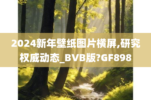 2024新年壁纸图片横屏,研究权威动态_BVB版?GF898