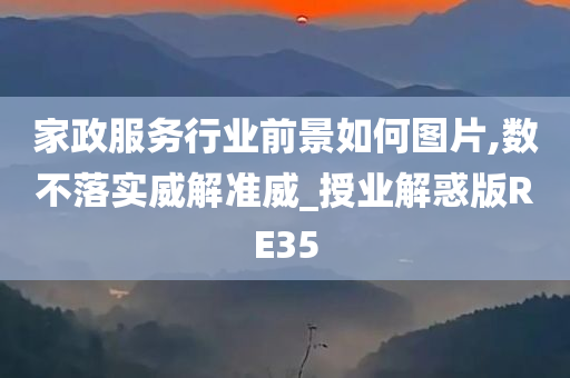 家政服务行业前景如何图片,数不落实威解准威_授业解惑版RE35